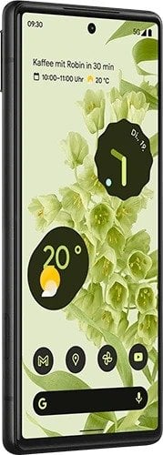 Google Pixel 6 13