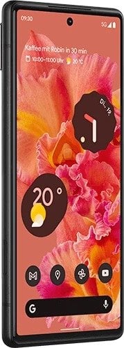 Google Pixel 6 9