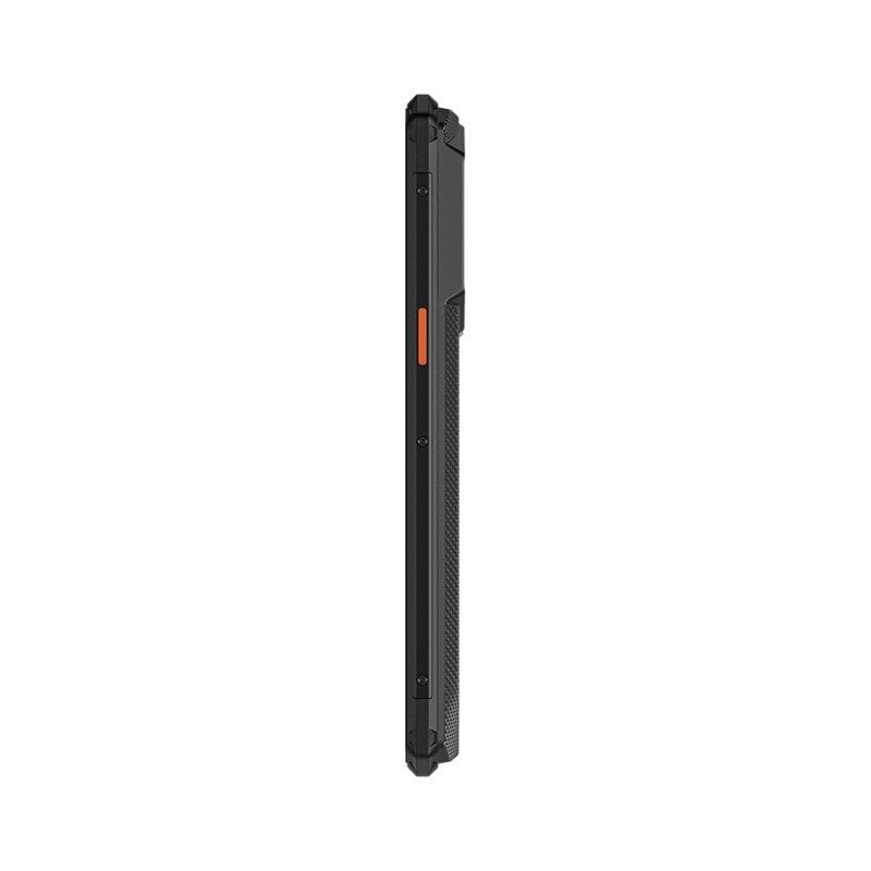 iiif150 B3C 5
