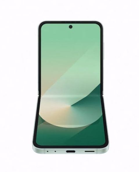 Samsung Galaxy Z Flip6 10