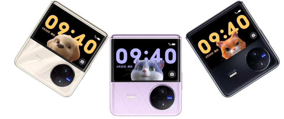 Vivo X Flip 6