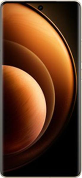 Vivo X100