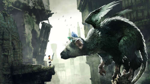 Trico, the iconic creature from The Last Guardian, standing amongst ancient stone... 8K wallpaper