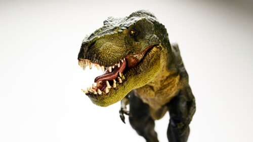A hyper-realistic close-up of a Tyrannosaurus Rex dinosaur showing detailed skin... high definition wallpaper