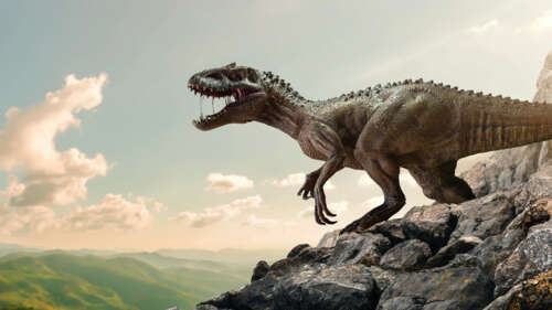 A large dinosaur standing among heavy grey rocks and ancient stone formations in... pictures for wallpaper