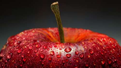 Extreme closeup of a red apple covered in glistening water droplets. free wallpaper
