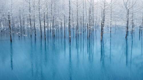 A serene winter landscape with frozen, snow-covered trees and crystalline reflections... free wallpaper