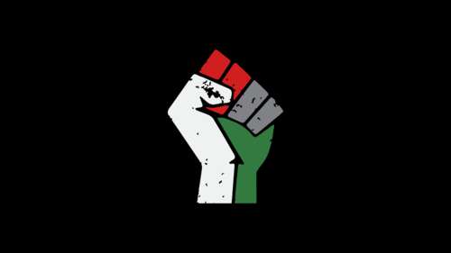 A dramatic, high-resolution close-up of a clenched fist in the colors of the Palestinian... free background