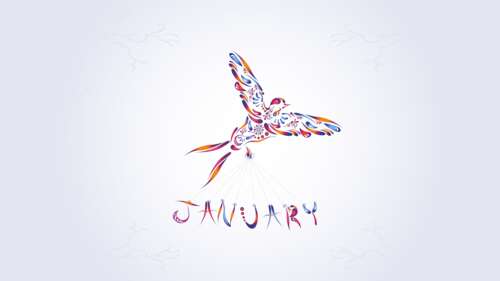 A colorful abstract illustration of a bird composed of various vibrant floral designs... wallpaper