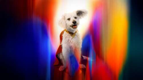 High-resolution cinematic shot of Superman alongside Krypto the Superdog. high definition wallpaper