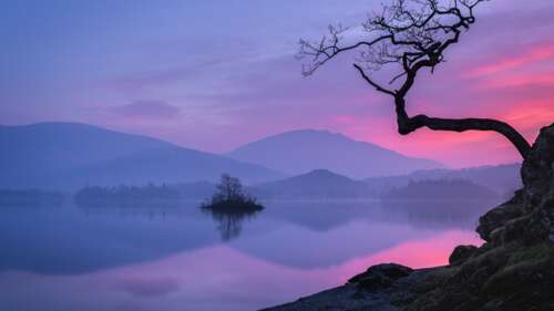 A silhouette of a lone tree reflecting in a calm lake at sunset with misty mountains... wallpaper