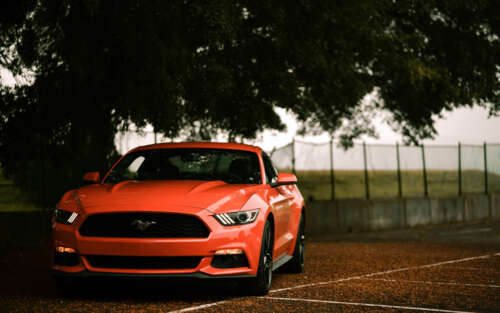 A classic Ford Mustang muscle car featuring its signature aggressive automotive design. 7680x4800 hd background
