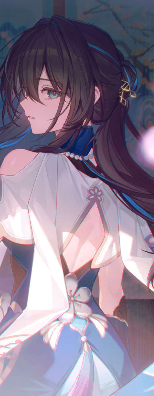 A graceful portrait of Ruan Mei from Honkai: Star Rail, featuring her intricate design... high definition wallpaper