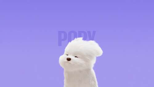A cute cartoon Maltese dog puppy with fluffy white fur sitting against a bright purple... hd background