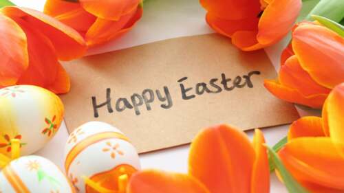 A close-up view of bright orange tulips and colorful Easter eggs in a spring setting. wallpaper