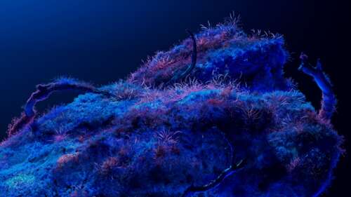 A dreamy cosmic landscape featuring deep blue hues, neon-lit bioluminescent structures,... wallpaper