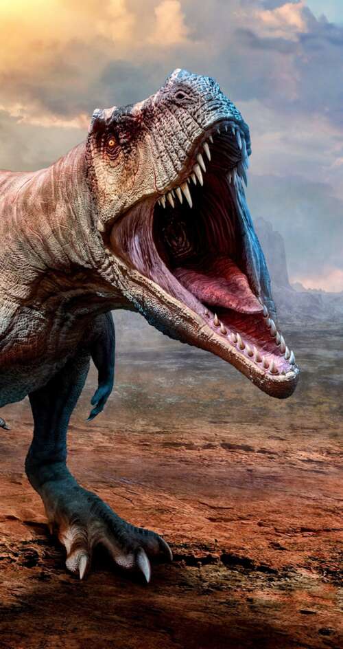 A highly detailed, close-up view of a Tyrannosaurus Rex featuring realistic reptilian... Sharp Aquos C10 lock screen wallpaper