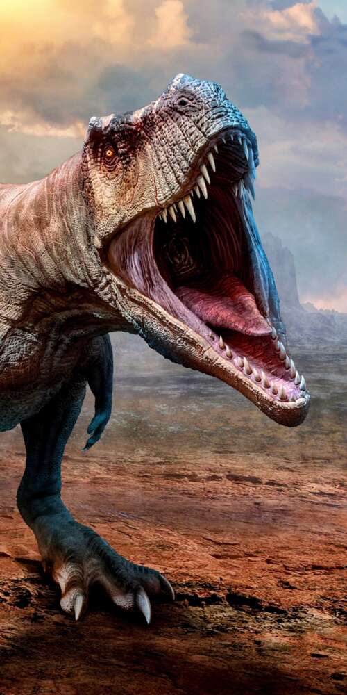 A highly detailed, close-up view of a Tyrannosaurus Rex featuring realistic reptilian... Doogee Fire 3 Max lock screen wallpaper