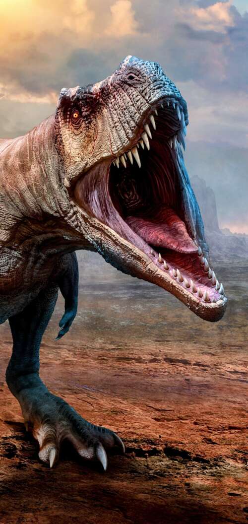 A highly detailed, close-up view of a Tyrannosaurus Rex featuring realistic reptilian... Oppo A6s lock screen wallpaper