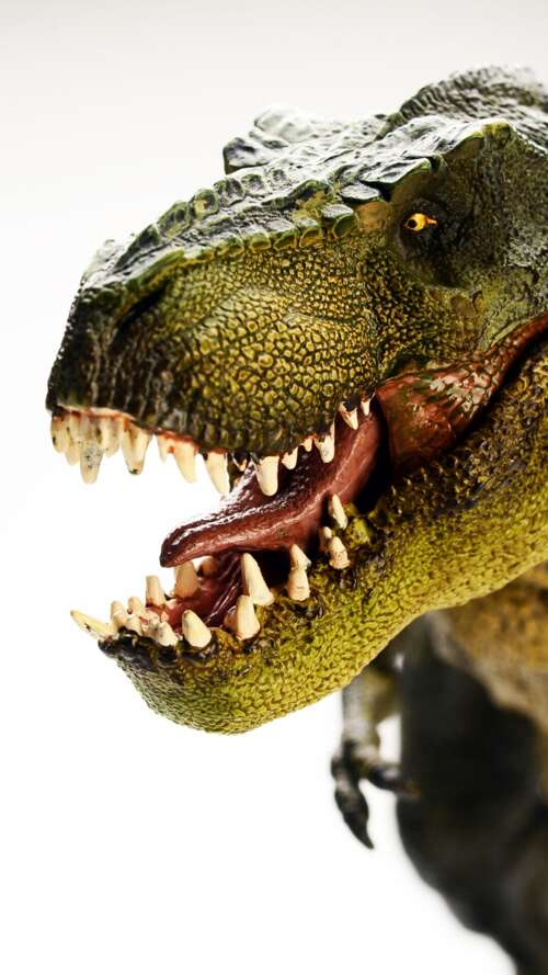 A highly detailed and realistic Tyrannosaurus Rex standing amidst a prehistoric environment. lava Play Max download free phone wallpaper