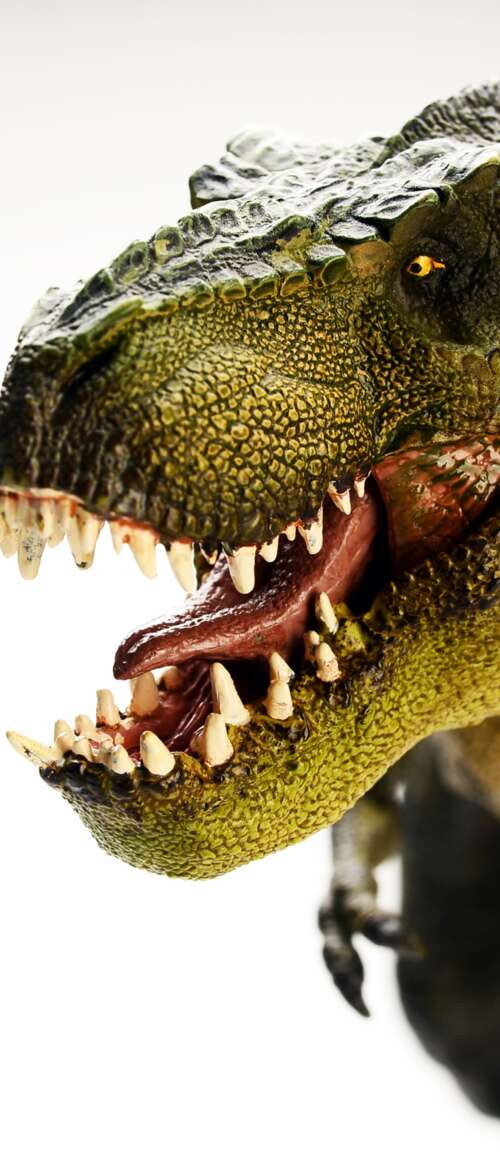 A highly detailed and realistic Tyrannosaurus Rex standing amidst a prehistoric environment. Samsung Galaxy Z Flip7 download free phone wallpaper