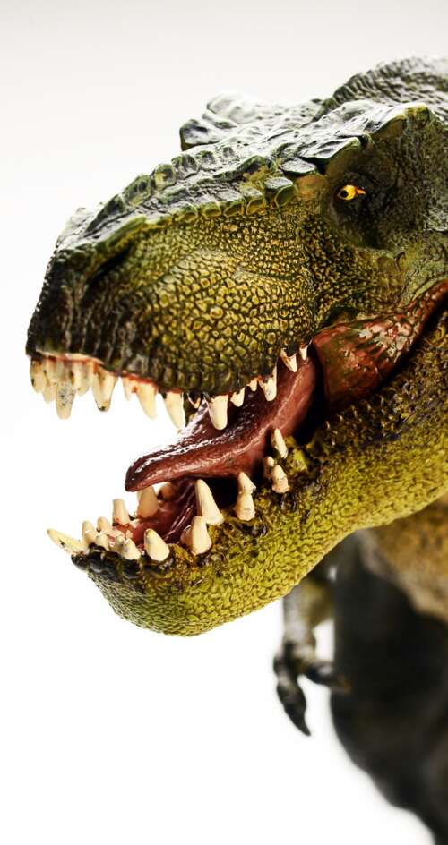 A highly detailed and realistic Tyrannosaurus Rex standing amidst a prehistoric environment. Sharp Aquos C10 hand phone wallpaper
