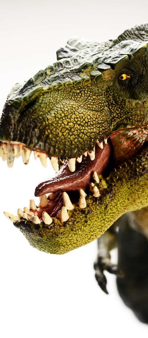 A highly detailed and realistic Tyrannosaurus Rex standing amidst a prehistoric environment. Blackview WAVE 10 download free phone wallpaper