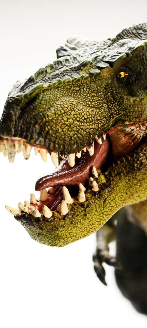 A highly detailed and realistic Tyrannosaurus Rex standing amidst a prehistoric environment. Blackview WAVE 7C download free phone wallpaper