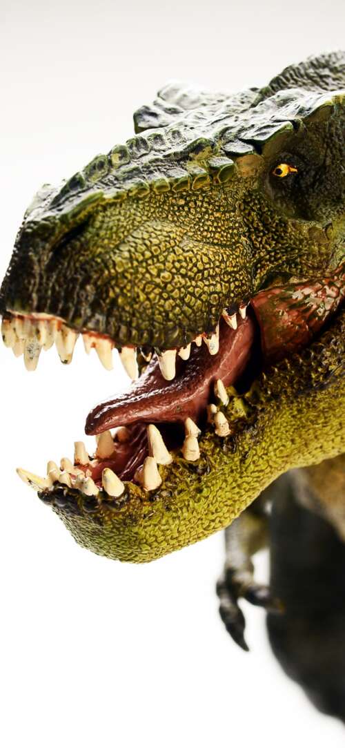 A highly detailed and realistic Tyrannosaurus Rex standing amidst a prehistoric environment. Sharp Aquos R10 download free phone wallpaper
