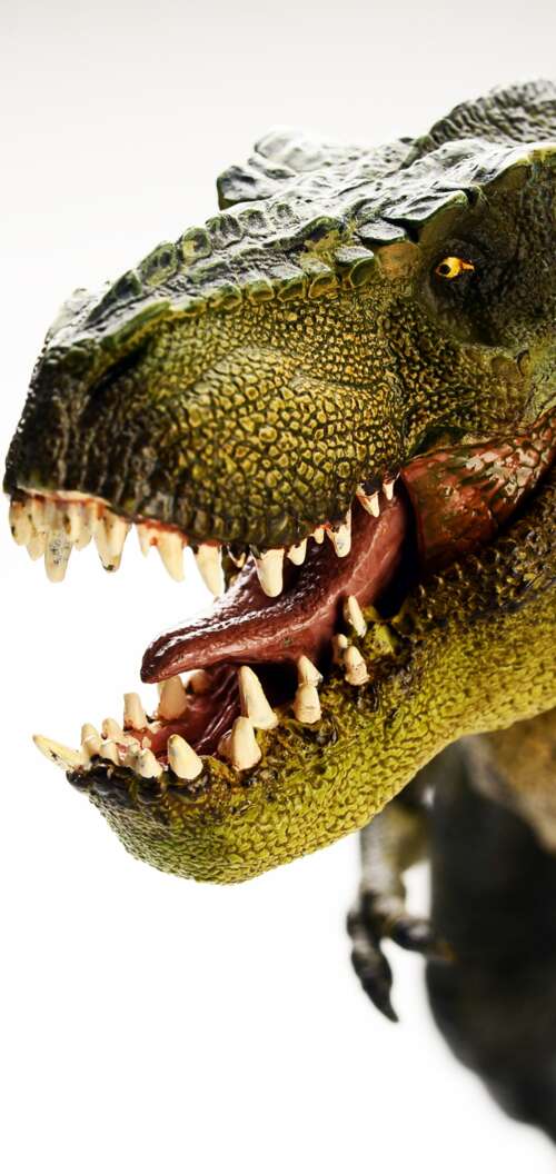 A highly detailed and realistic Tyrannosaurus Rex standing amidst a prehistoric environment. Oppo A6s download free phone wallpaper