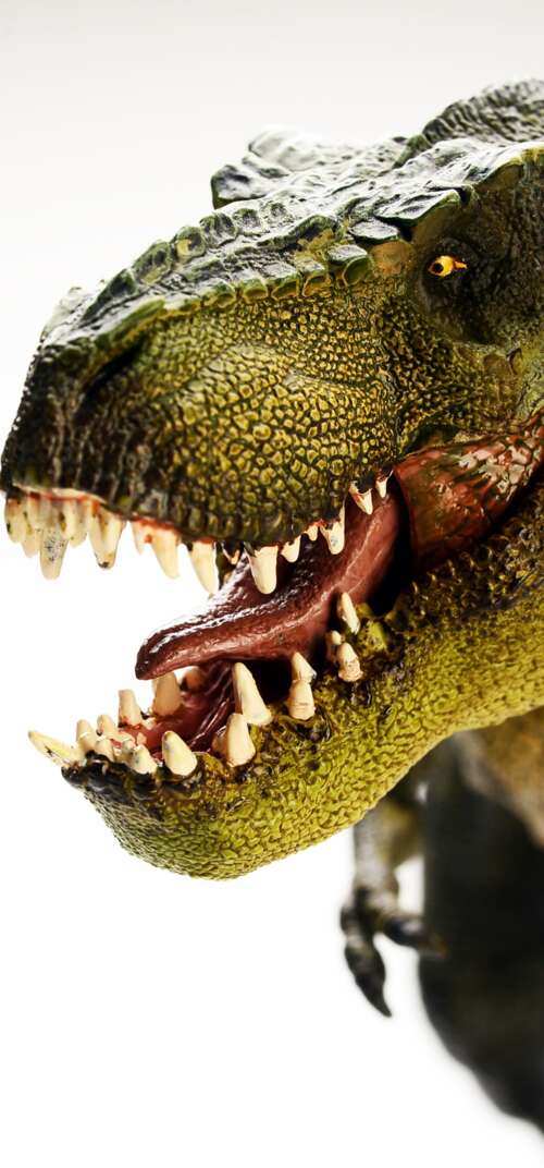 A highly detailed and realistic Tyrannosaurus Rex standing amidst a prehistoric environment. Samsung Galaxy S26 Ultra download free phone wallpaper