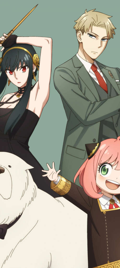 Loid Forger, Anya Forger, and Yor Forger from the anime Spy x Family posing together... Vivo iQOO Z10 Turbo free background images