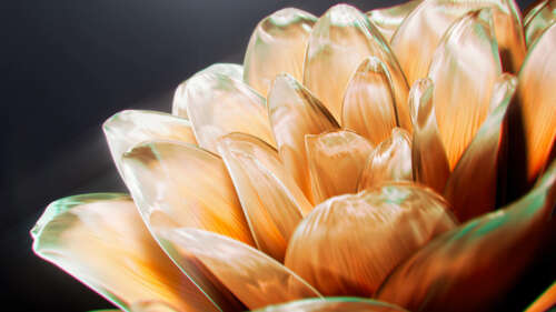 A highly detailed, close-up view of a shimmering golden digital flower with glowing,... wallpaper