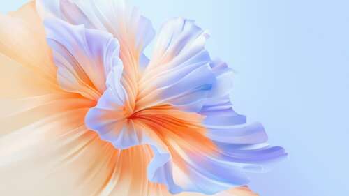 Vibrant abstract flower pattern with swirling colors and organic petal-like textures wallpaper
