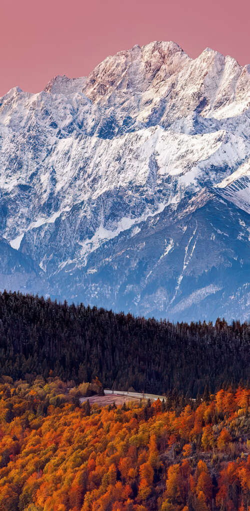 A panoramic view of the snow-covered Tatra Mountains, an autumn forest with orange... wallpaper