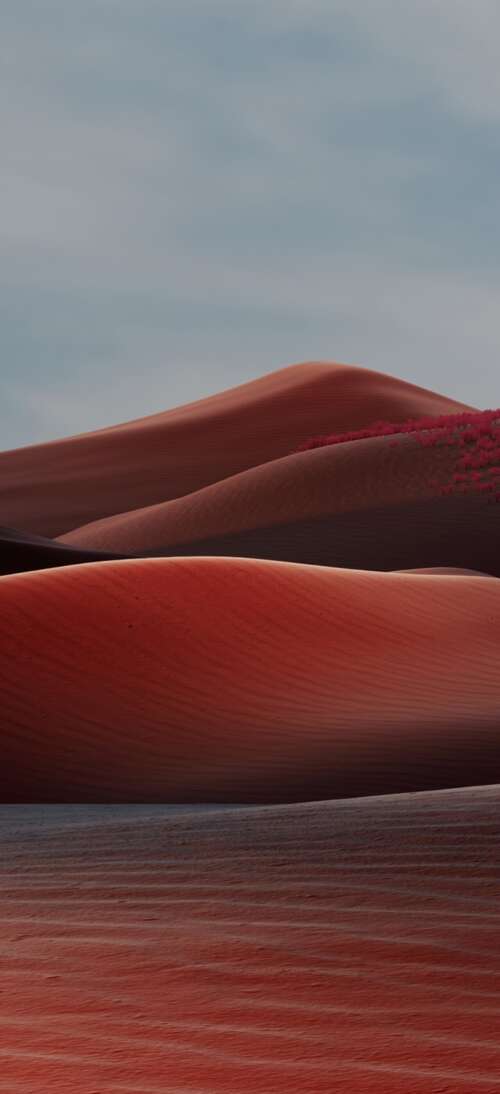 Vast deep red sand dunes under a warm, dreamlike desert sky. pictures for wallpaper