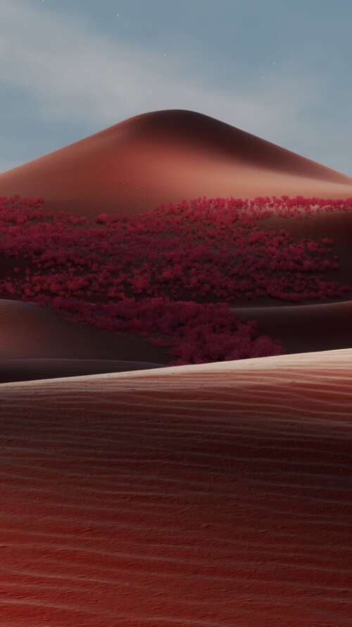 Cinematic view of deep red sand dunes in a warm, dreamlike desert landscape. wallpaper