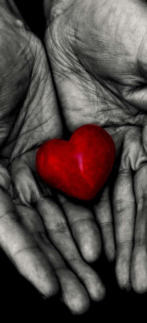 Two hands gently cradling a bright red heart against a solid black background. lock screen wallpaper