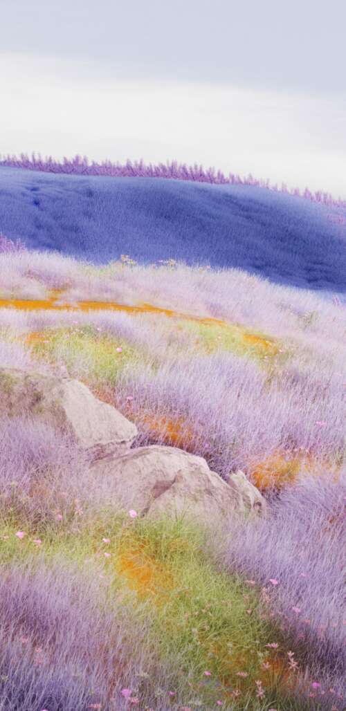 A surreal landscape of vast lavender fields with a large, mysterious floating sphere... wallpaper