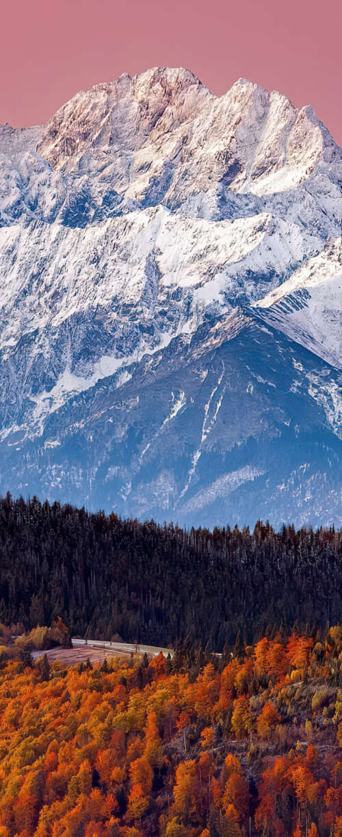 A scenic view of the snow-covered Tatra Mountains and an autumn forest under a pink... wallpaper