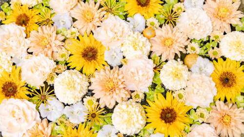 A beautiful bouquet of yellow chrysanthemum flowers and white daisies with a warm... free wallpaper