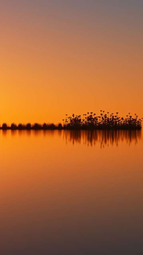 Golden Twilight Horizon
