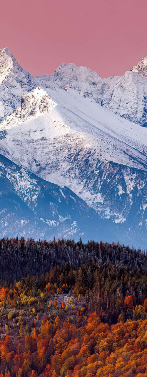 A scenic view of the snow-capped Tatra Mountains with a pink twilight sky and golden... free wallpaper