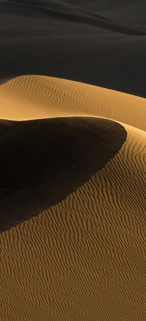 A vast desert landscape featuring rippled sand textures under the warm light of a... wallpaper