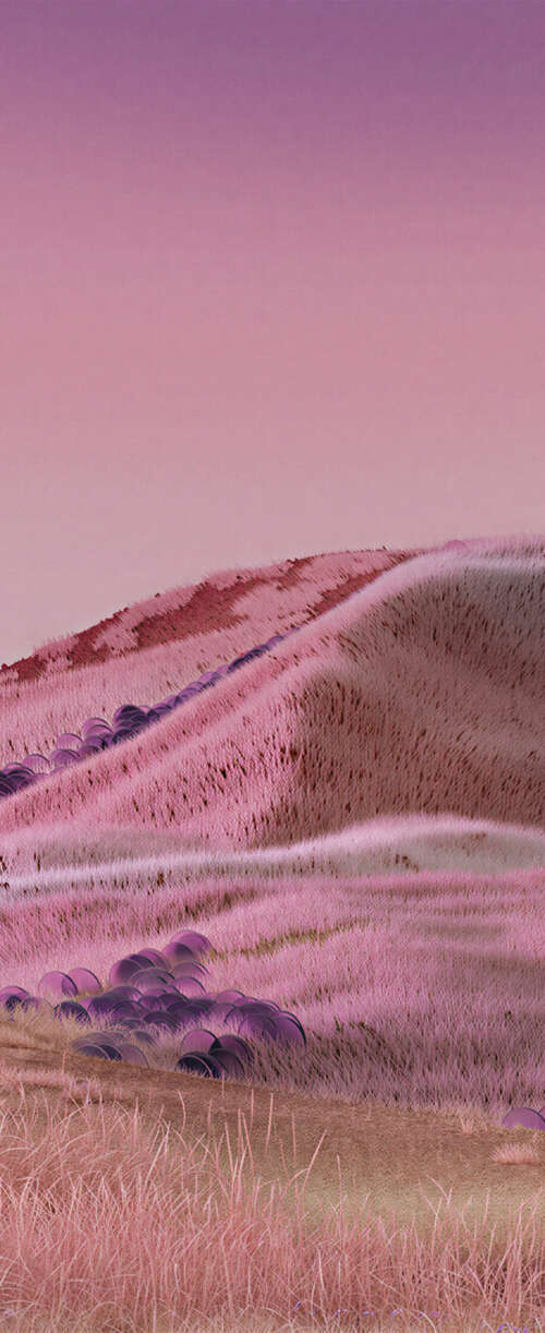 A dreamy, surreal landscape of rolling pink hills under a soft gradient sky. wallpaper