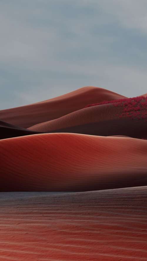 Crimson Desert Dreamscape