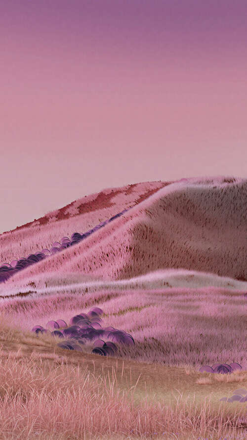 Serene Pink Dreamscape