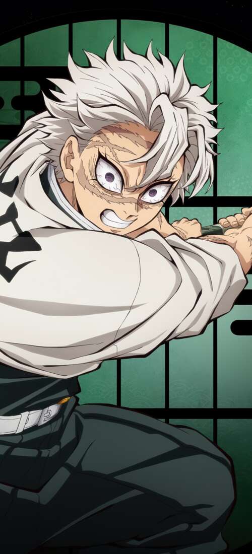 A high-quality, cinematic anime-style portrait of Sanemi Shinazugawa from Demon Slayer:... mobile wallpaper