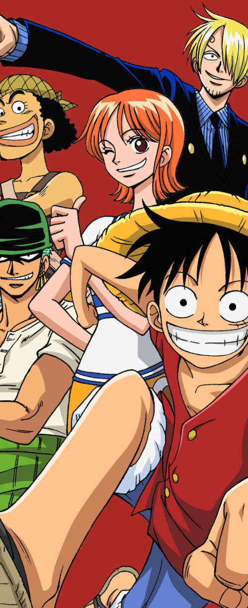 Monkey D. Luffy, Roronoa Zoro, Nami, Usopp, and Sanji from the One Piece anime series... free background images
