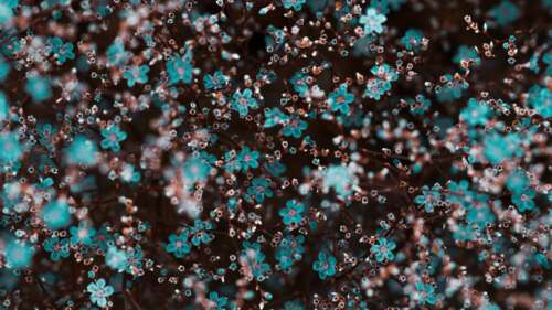 Ethereal Blue Bloom Macro